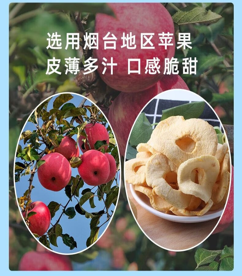 [中国直邮]薛记炒货苹果干脆片水果干果脯蜜饯休闲零食 苹果脆40g/袋