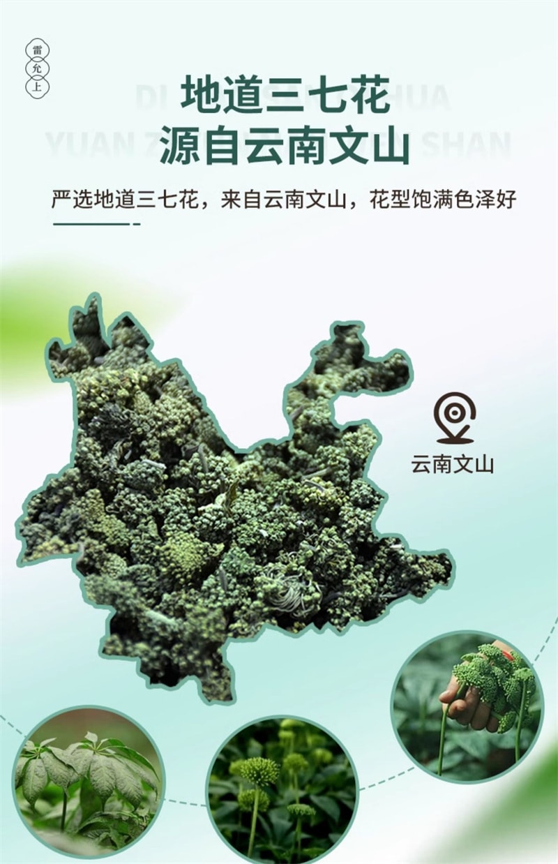 【中国直邮】雷允上 云南三七花正品120g正品搭田七粉泡茶