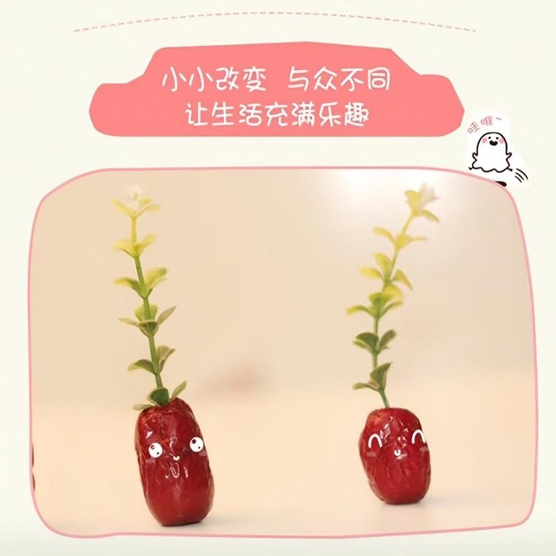 【中国直邮】 新边界 香酥脆枣无核酥脆灰枣新疆红枣干去核网红嘎嘣脆休闲小零食 香脆枣新疆灰枣零食 香甜酥脆脆枣250g