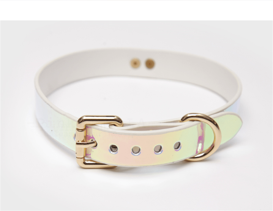 BDSM Iridescent Professional Training Bondage Set with Lead Chain and Paddle