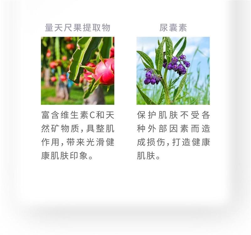 【日本直邮】 日本 晓姿 LisBeau丽丝碧 百合净透水 柔肤水 化妆水 120ml