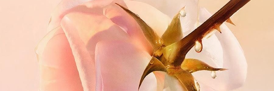 YUSUMTONG羽心堂 凡多姆玫瑰花冠王 藍色包裝 30g