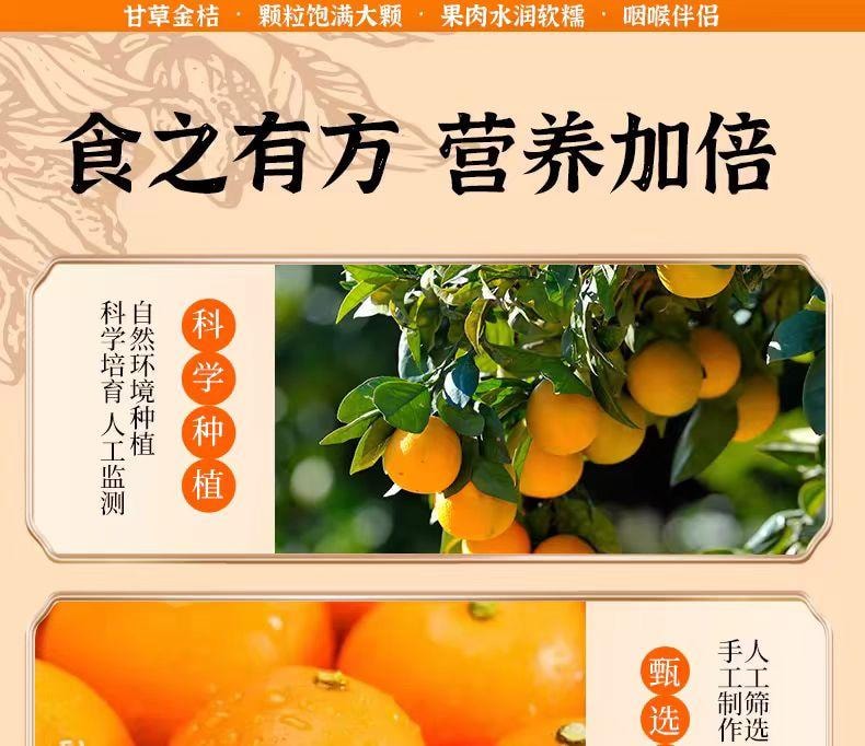 【中國直郵】 春江月 甘草金桔 健康蜜餞果脯 廣西特產 500g*1 罐