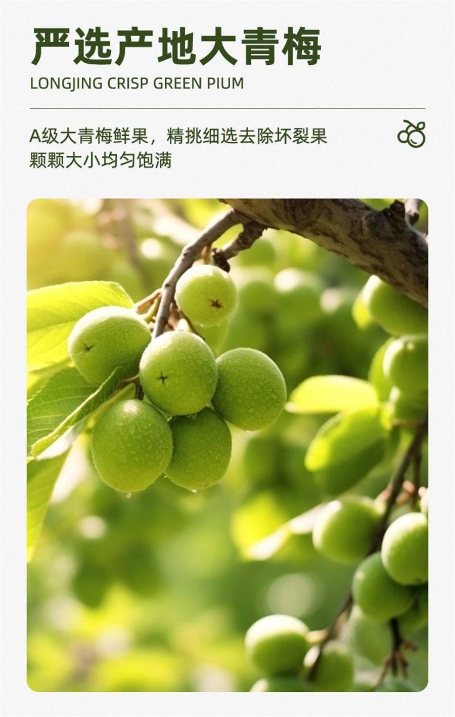 【中國直郵】 盒馬 龍井脆青梅 辦公室休閒零食脆爽青梅酸梅子蜜餞果脯 135g/袋