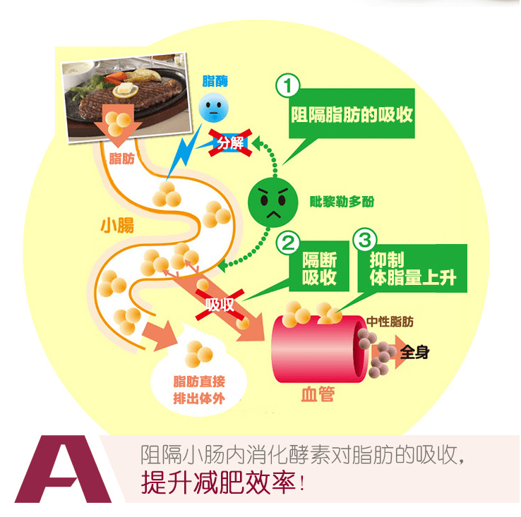 日本PILLBOX LOVET阻糖控糖分解酵素减脂纤体丸 60粒 减肥减脂