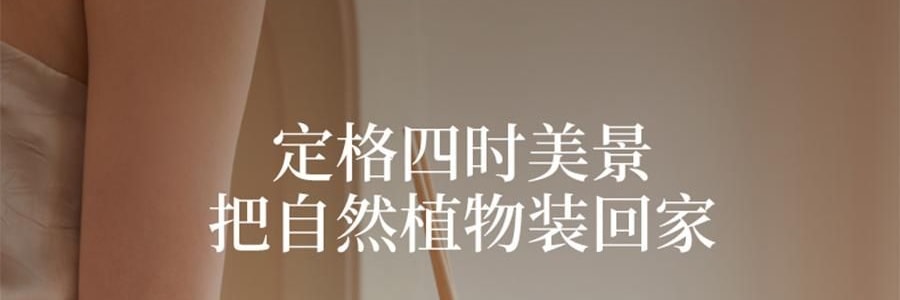 宋朝 自然萬物系列無火香薰 臥室家用室內持久香氛 晨露玉蘭 大容量500ml