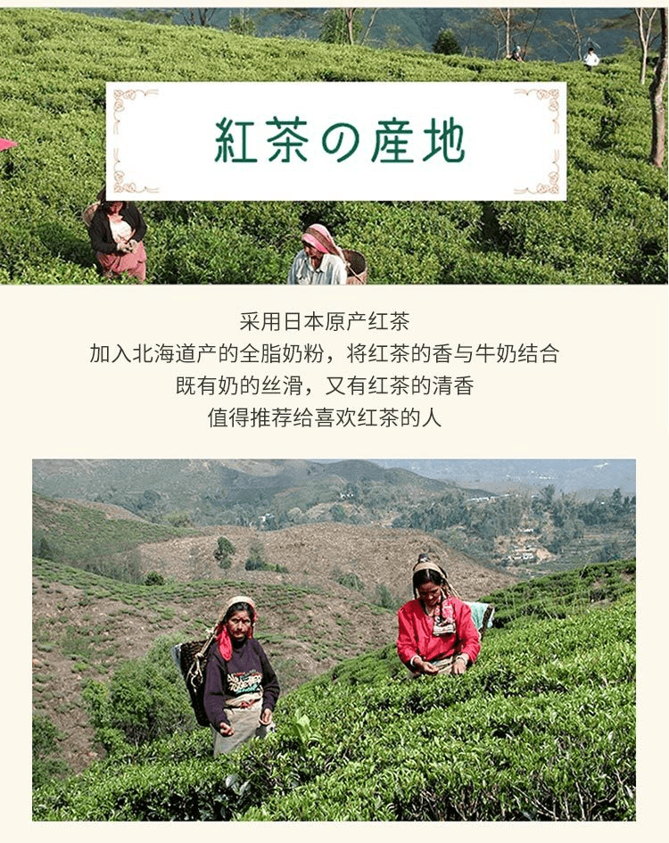 【日本直邮】日东红茶 北海道奶粉皇家奶茶醇香奶茶 250g