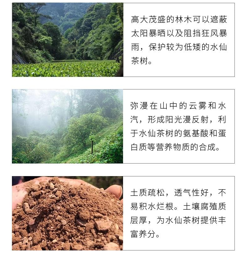 小师姐评茶 茶中香水漳平水仙 核心产区紧压乌龙茶 传统炭焙 手工压制 百香馥郁 回甘生津 倾花 一袋一泡 42克 (7克x6)