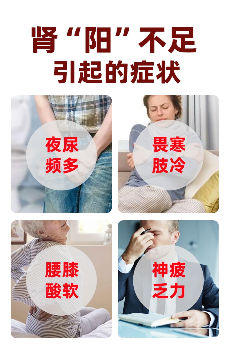 【中国直邮】 栢吉堂 全鹿丸12袋/盒 正品健脾益气补肾填精肾虚脾肾两亏尿频尿急补肾药