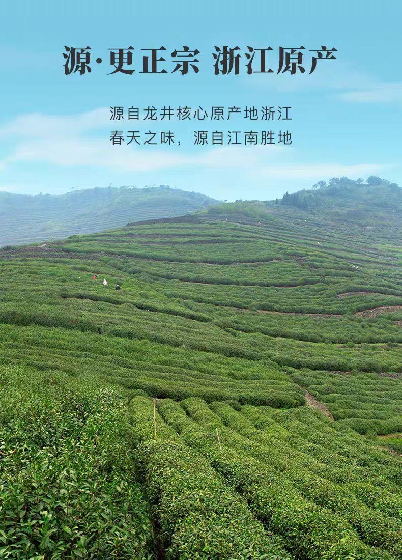 【中国直邮】 八马 龙井绿茶 浙江茶叶新茶 50g*1罐