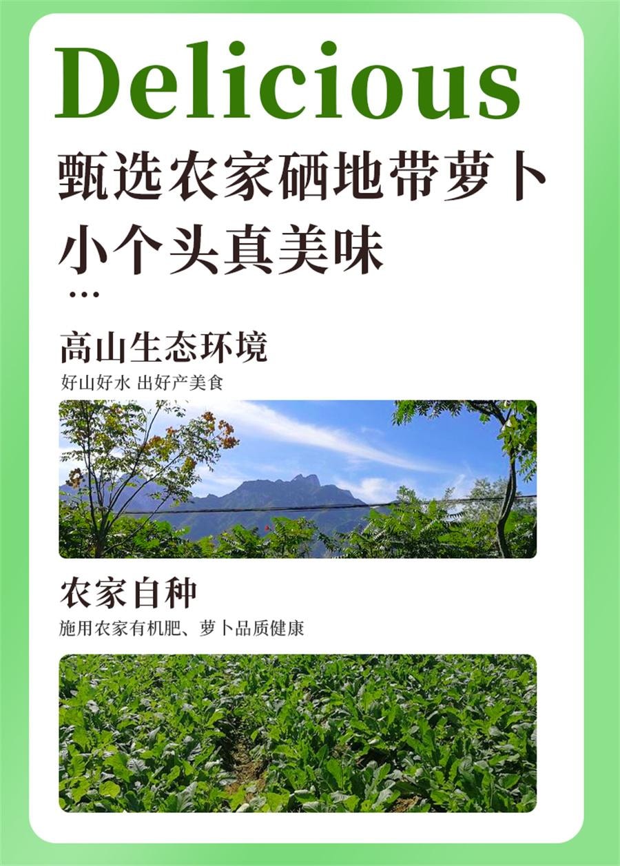 【中國直郵】 開口爽 酸辣水晶蘿蔔 開袋即食辦公室解饞下飯菜食品特產22g*5包