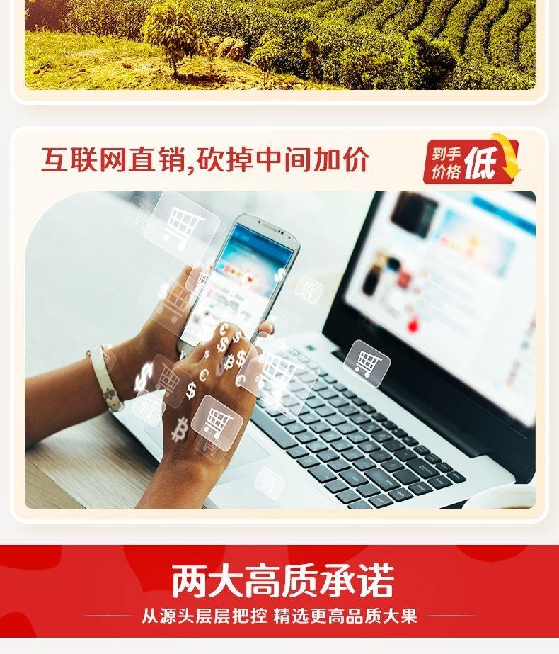 【限时坚果大促 最后四包】三只松鼠 碧根果仁大包装 原味 250g 无壳纯肉 0色素0防腐0抗氧化剂 低温烘焙非油炸 果仁零食 