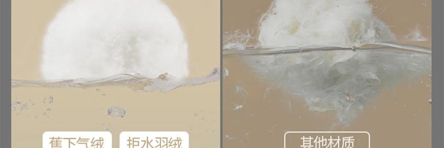 BENEUNDER蕉下 女士轻量滑雪裤 雪地玩雪徒步裤子 沁柔白 170/76A(XL)
