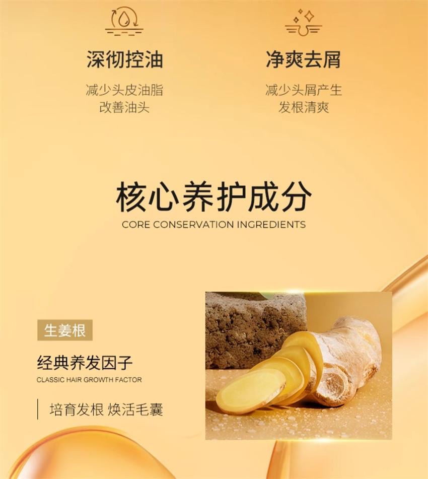 【中国直邮】 KONO 生姜强韧洗发水 深彻控油 净爽去屑 强韧发根洗发膏 生姜萃取洗发露 500ml/瓶