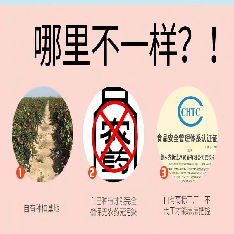【中国直邮】 新边界 新疆灰枣蜜饯果干红枣枣子新疆特产煲汤煮粥办公室儿童孕妇休闲零食500g