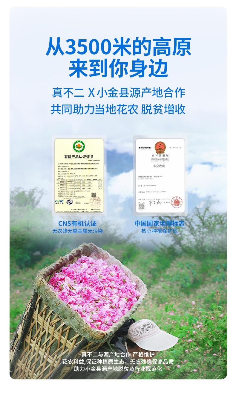 【中國直郵】 真不二 大馬士革玫瑰熱灸足貼 艾草暖腳貼暖足貼 5對/盒