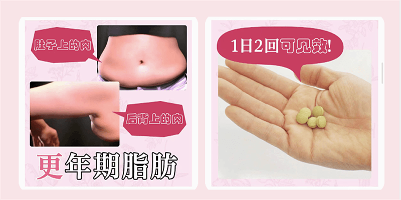 【日本直邮】小林制药更年期腹部背部燃脂片EX 280粒