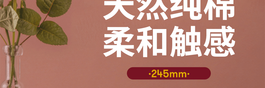 韩国SECRET DAY 棉柔有机卫生棉 M号 24.5cm 16片 EXP DATE :10/12/2023