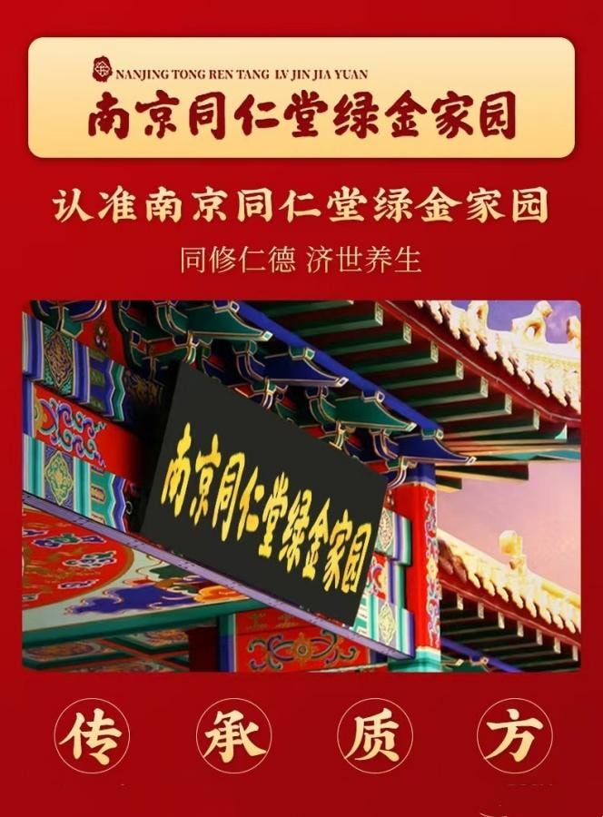  南京同仁堂 绿金家园五行健脾散500g 1瓶装 健脾胃调理脾胃去湿气 郭亚宁同款