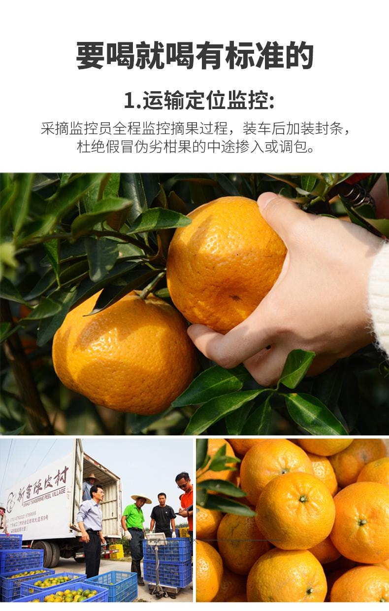 陳皮村吳村長正宗新會柑普茶 宮廷二號 禮盒裝 200g