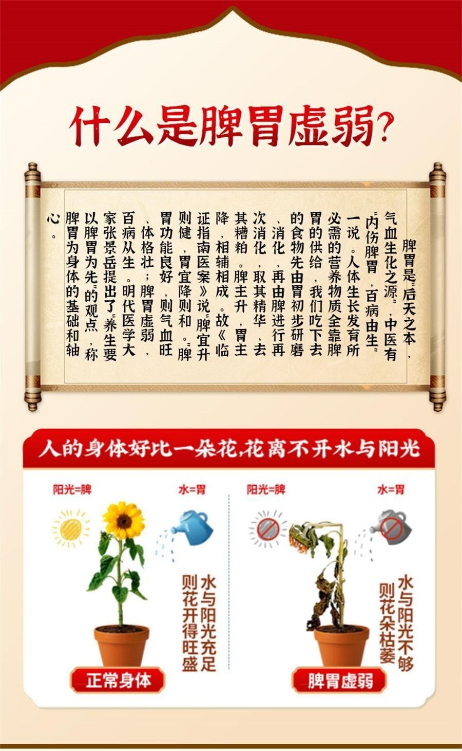【中国直邮】 向前 参苓白术散丸 茯苓祛湿颗粒 健脾胃 调理脾胃虚弱 6g*10袋 x 1盒