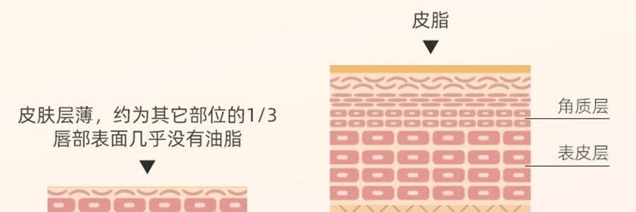 泰國CIBIO'2希蓓歐 睡眠養護唇膜4.0 日/夜用 柑橘味 清爽版 15g 12h長效保濕補水 去死皮角質 淡化唇紋 防裂潤唇