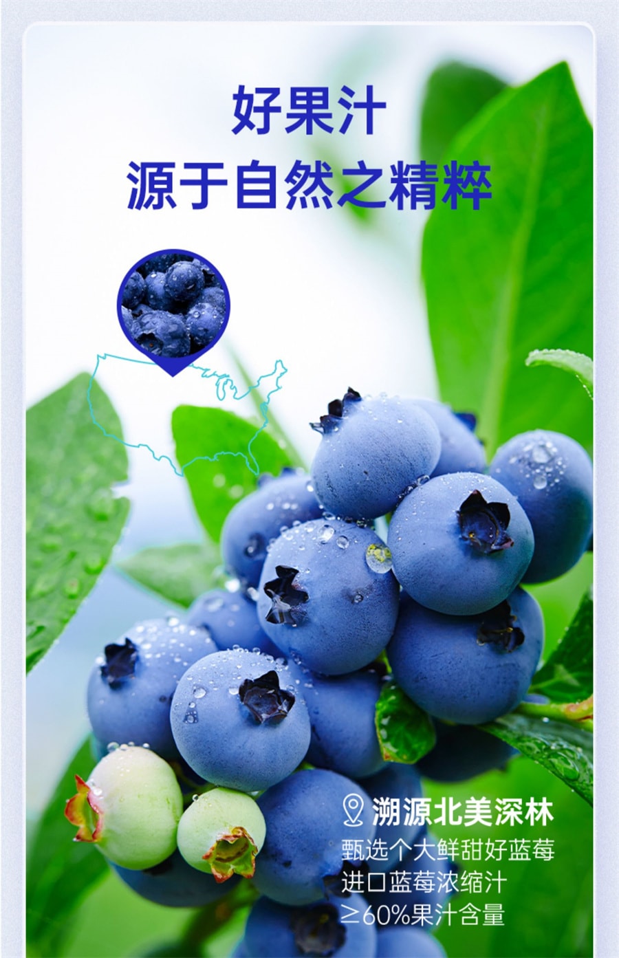 【中国直邮】英贝健  花青素蓝莓汁饮料纯浓缩原浆叶黄素脂果蔬汁  500ml/瓶