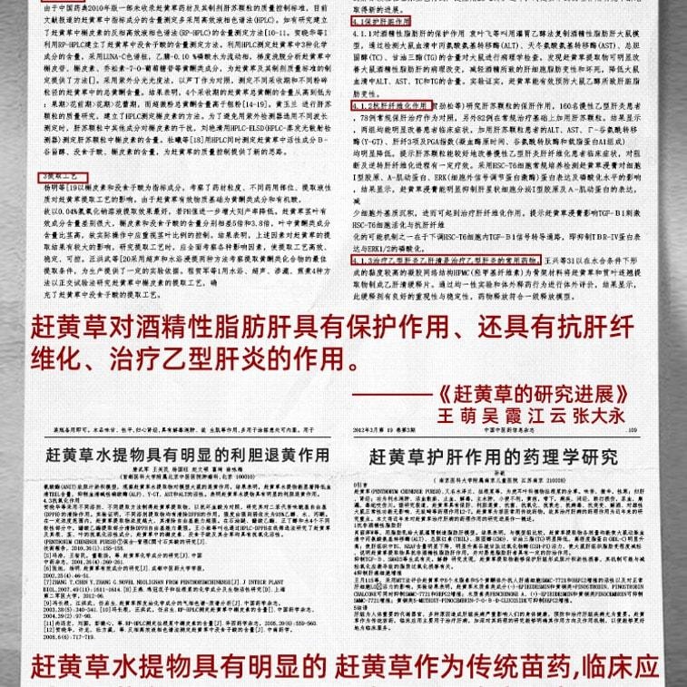 【中国直邮】 药知源 赶黄草 清热解毒 退黄化湿 45g/盒