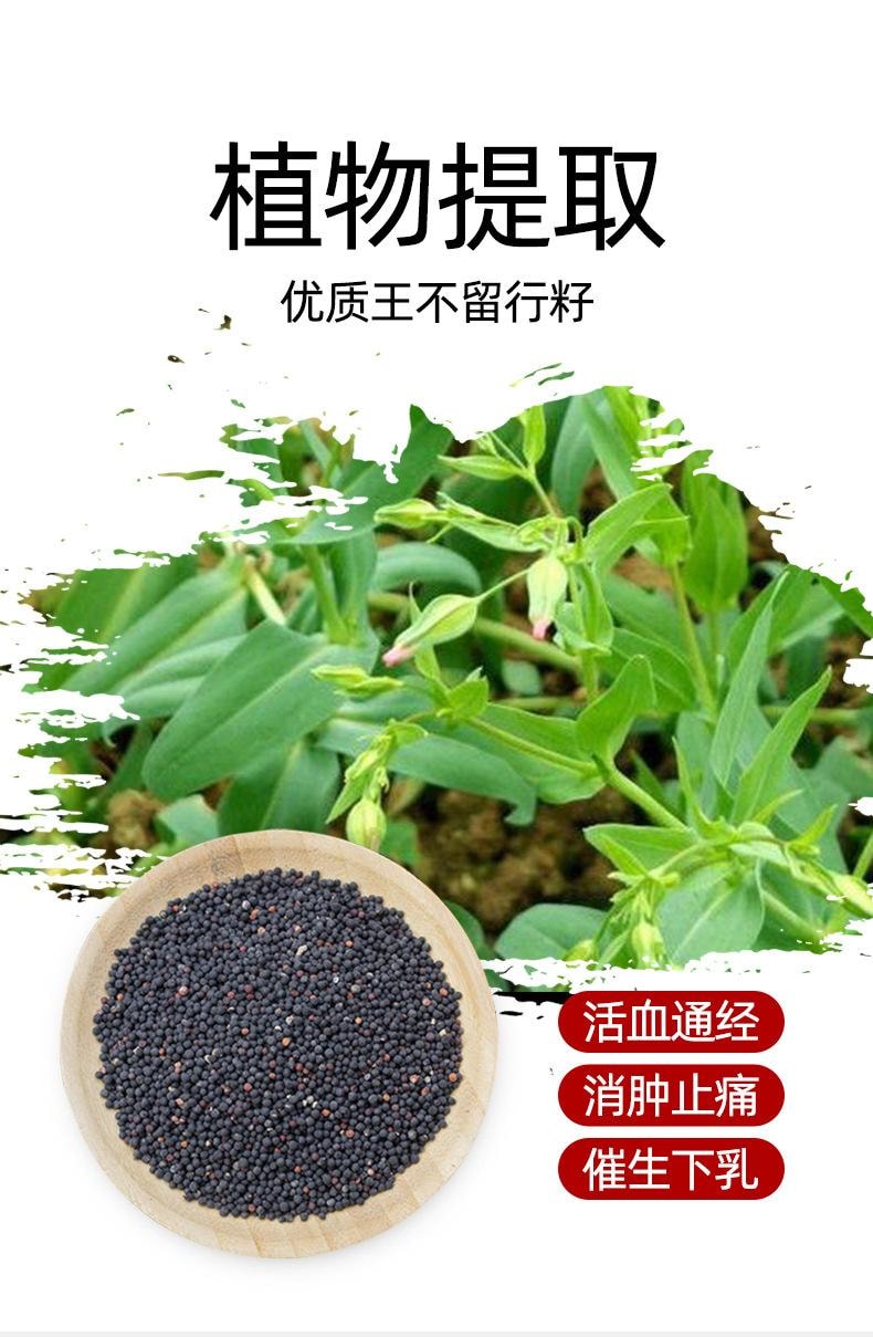 Vaccaria Seeds TCM Ear Acupressure Patch 600 Granules – 1 Box