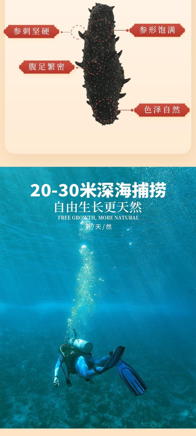 【金装海参礼盒】野生海参干货150g纯淡干发率高深海辽刺参海渗叁礼盒孕妇提高免疫秋冬滋补