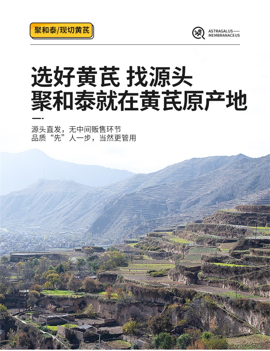 【中国直邮】聚和泰 黄芪野生特级黄氏正品北芪片中药材当归党参茶泡水 500g