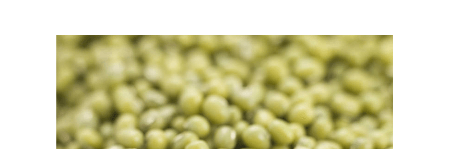 生態小鎮 有機綠豆 907g