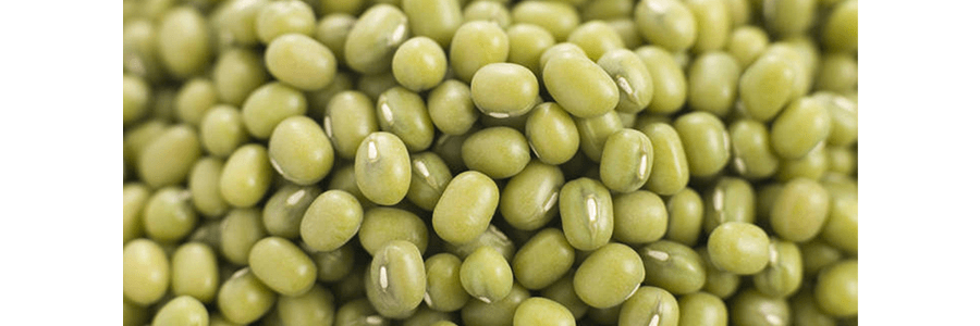 生態小鎮 有機綠豆 907g