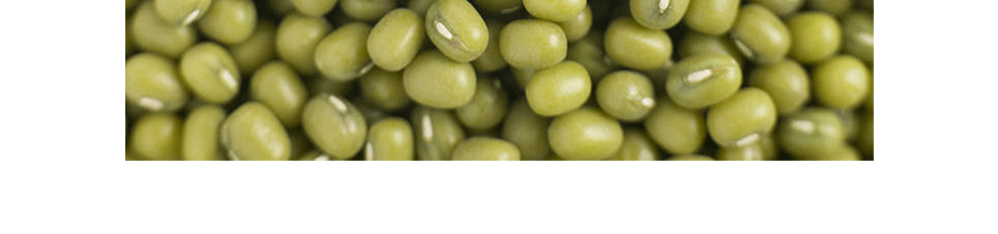 生態小鎮 有機綠豆 907g