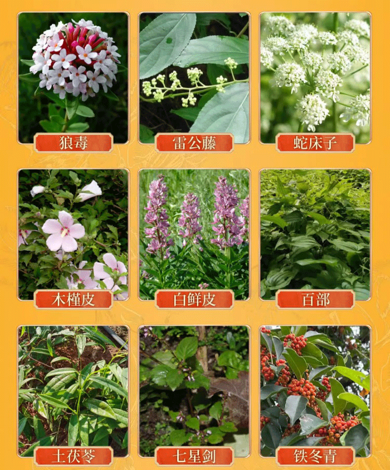 【中国直邮】 祥医堂 断痒王 止痒膏皮肤痒断痒膏 一抹止痒 草本秘制 安全健康 30g/盒