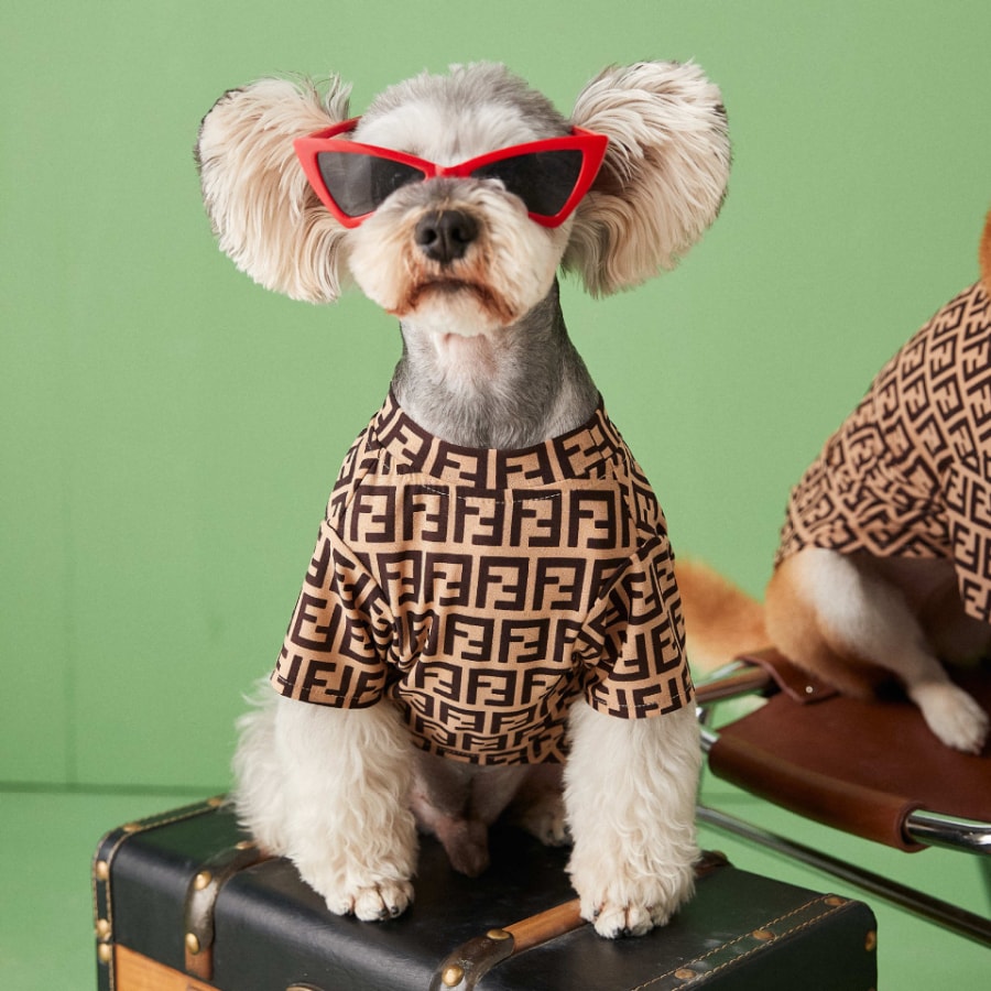 TAWNEY BESR 狗狗衣服夏装薄款透气防掉毛泰迪雪纳瑞博美比熊柴犬T恤短袖 #S