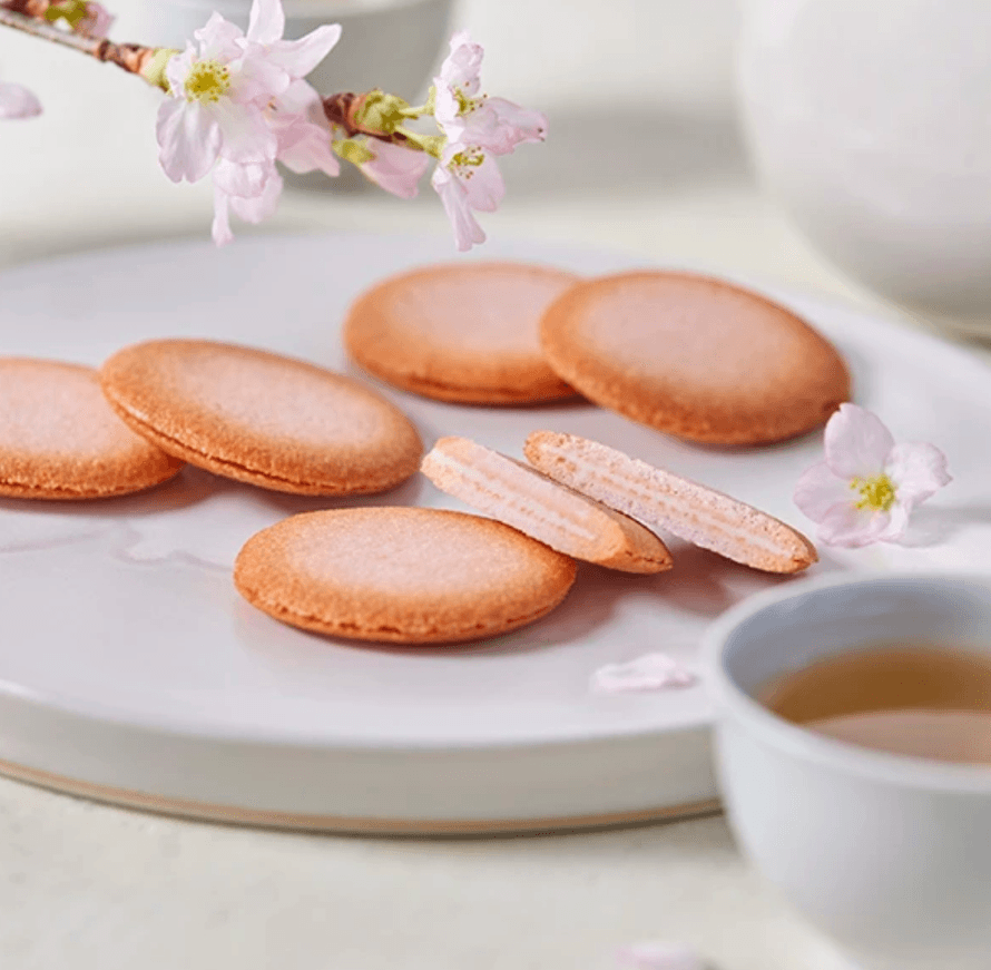 【日本直邮】Yokumoku2024春季限定樱花香巧克力夹心饼干礼盒樱花花瓣饼干送礼必备 24枚入