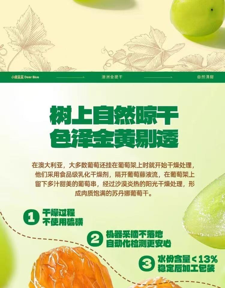  小鹿蓝蓝 金苏丹娜澳洲金提干 免洗葡萄干 果中精品 树上风干 无熏硫 70g 7小袋单独分装