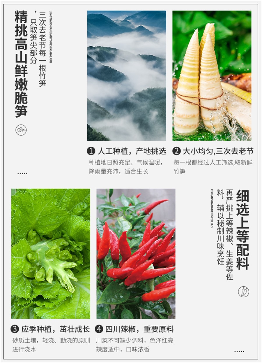 Stir-fried Bamboo Shoots Pickles Noodles Rice Sichuan Specialty Mustard 280g/ Bottle