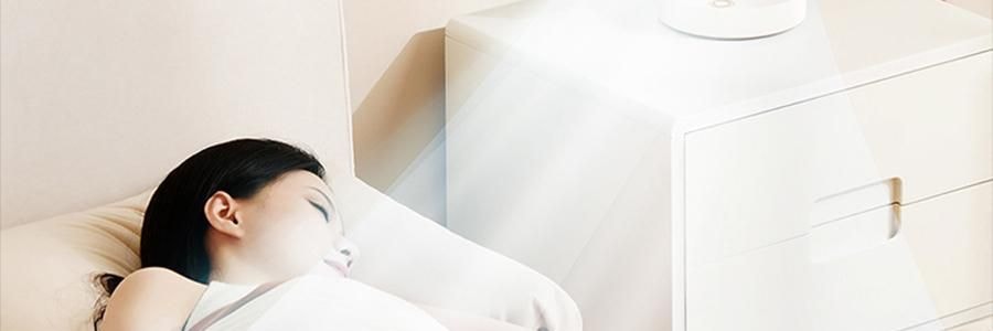 向物SOTHING 桌面循环扇 小风扇 夏日清凉小物 漩凉 续航版