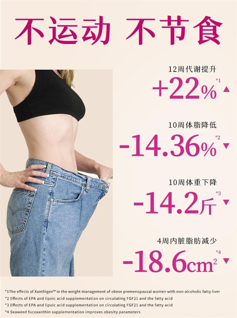 【中國直郵】 維特健靈 極燒脂14包/盒 (建議拍四盒一周期)減肥燃脂排油代謝慢促進新陳代謝提高代謝