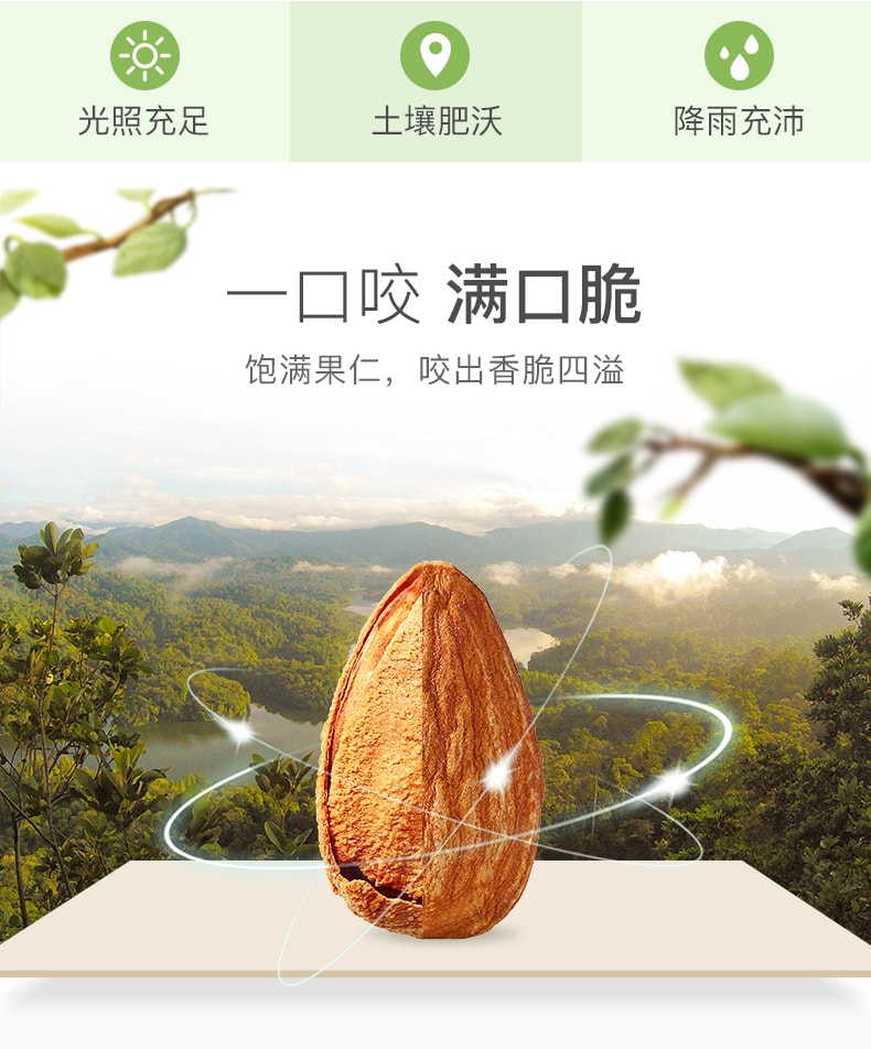 [China direct mail] BE&CHEERY Nuts roasted seeds Batan wood almond almonds casual snacks specialties 100g