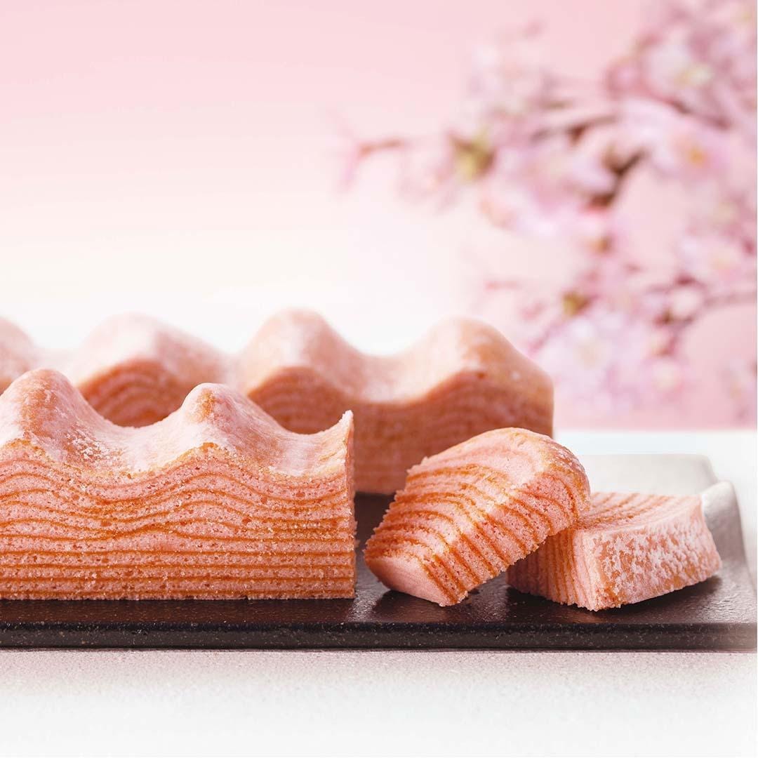 【日本北海道直效郵件】櫻花季節限定銀座 ねんりん家 櫻花年輪蛋糕 盒裝