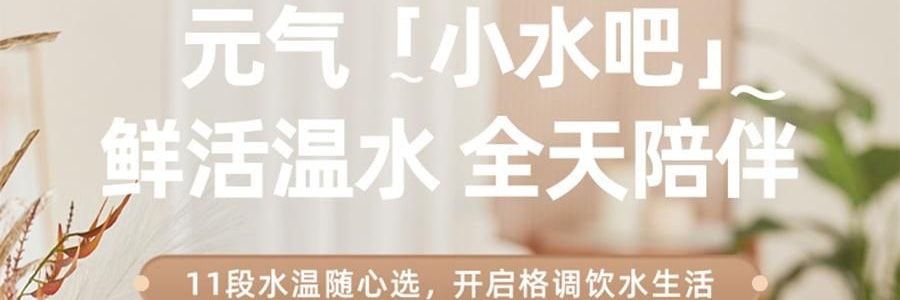 BEAR小熊 元氣小水吧 智慧不銹鋼電水瓶即熱飲水機 3.0L 白色