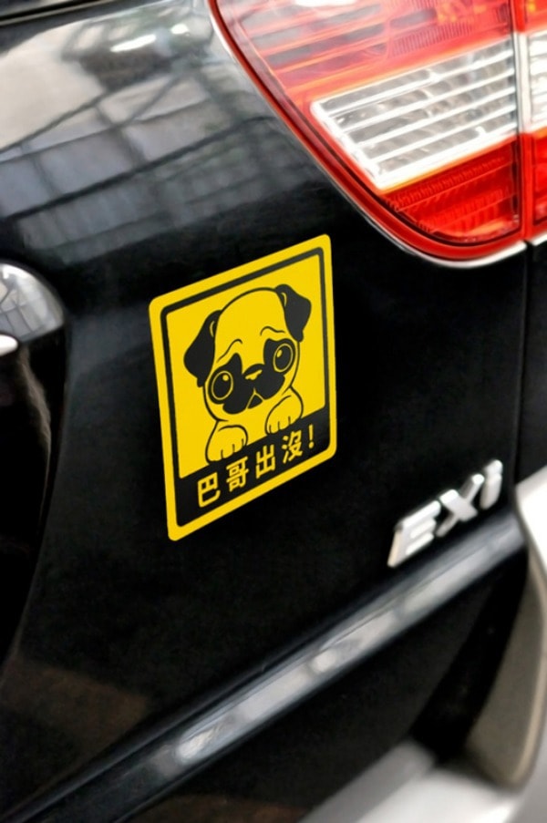 艺林生活-萌犬出没宝贝贴 - 柯基