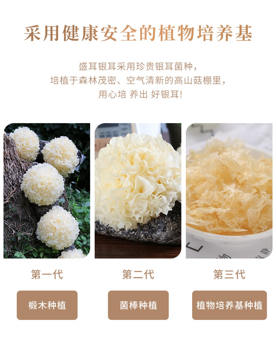 【中国直邮】盛耳  速焖本草银耳羹古田雪耳白木耳即食糯耳红枣莲子枸杞银耳汤  104g/盒