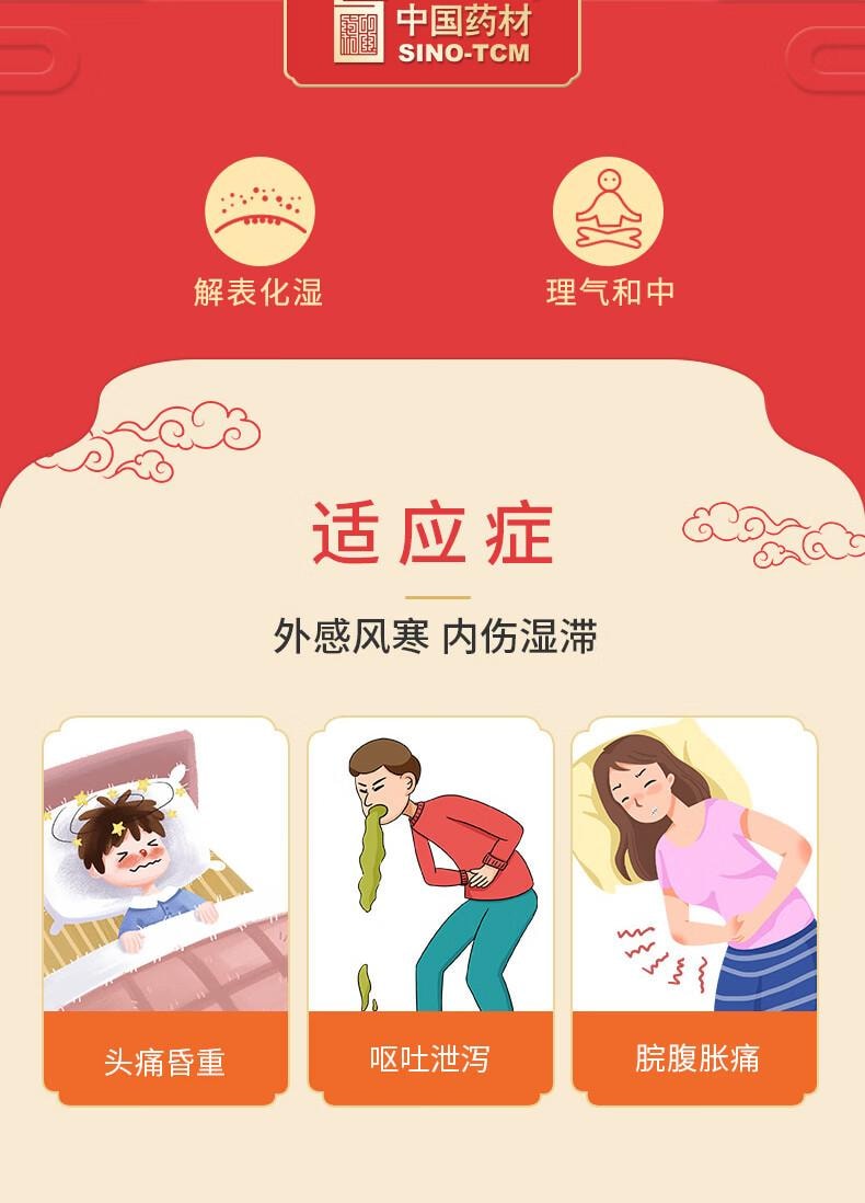 【中國直郵】 中國藥材 馮了性 加味藿香正氣丸9g*10丸 外感風寒 頭痛昏重 感冒頭痛 噁心嘔吐 無酒精