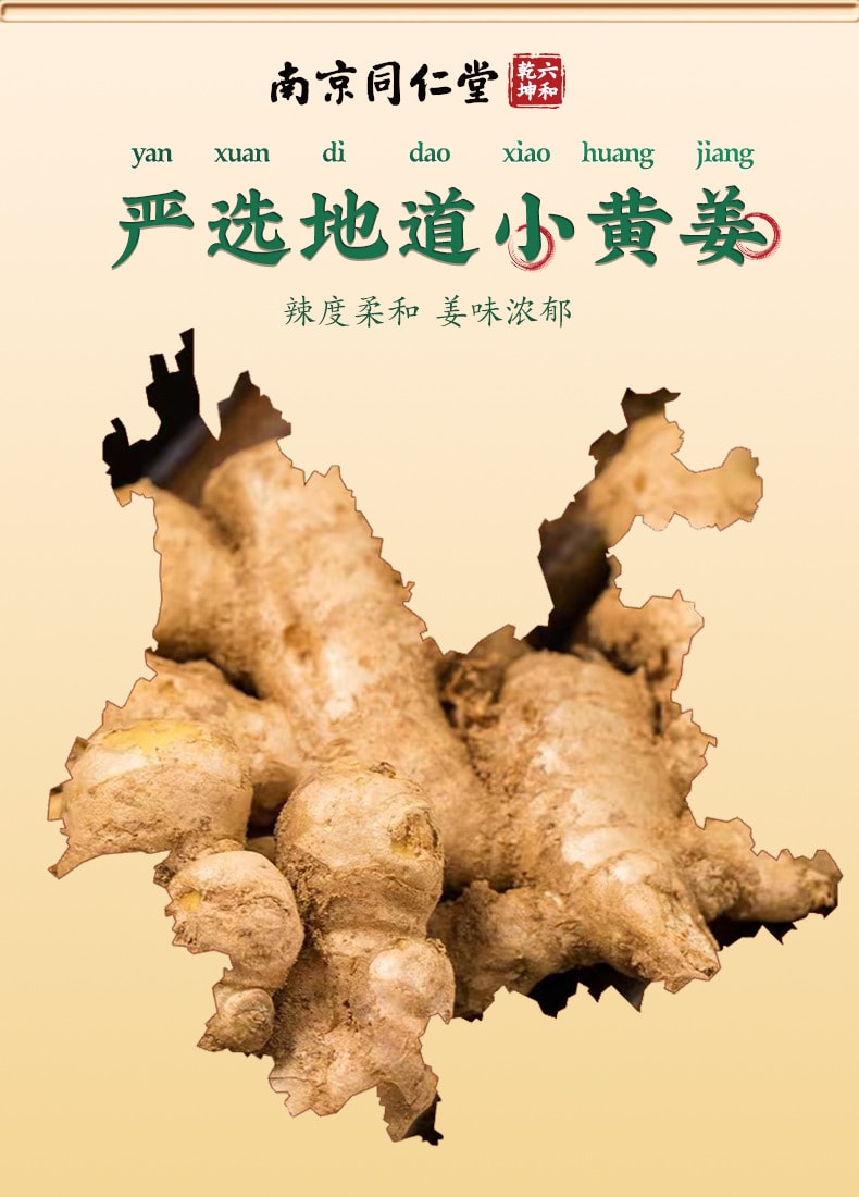 【中国直邮】南京同仁堂   云南小黄姜粉食用冲饮 生姜粉纯正干熟老姜粉  200g/罐
