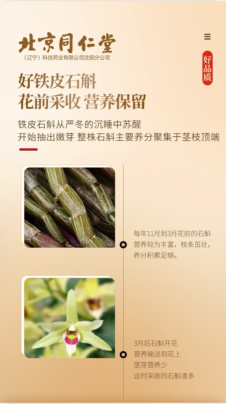 【中国直邮】北京同仁堂  铁皮石斛枫斗新鲜石斛干条石斛泡茶煲汤滋补品  60g/罐