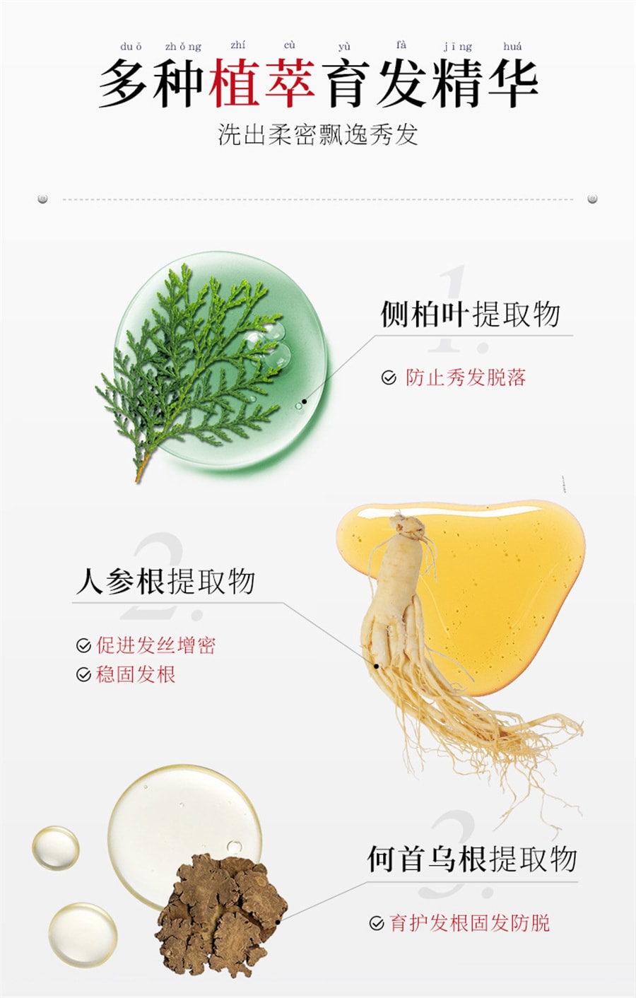 【中国直邮】白黑客 防脱育发洗发露人参 侧柏叶 何首乌 固发育发滋润营养植萃洗发水 15mI*10片/盒